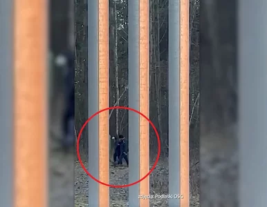 Miniatura: Białoruskie służby pod barierą na granicy....