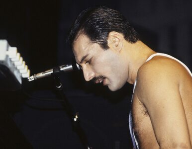 Miniatura: Freddie Mercury skończyłby dziś 70 lat....