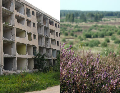 Miniatura: Polskie miasto-widmo blisko uzdrowiska....