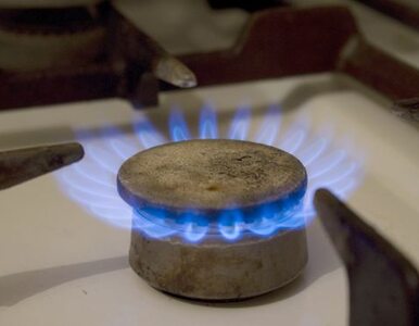 Miniatura: Rosjanie obniżą nam ceny gazu?