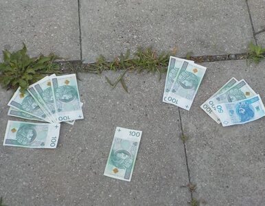 Miniatura: Ludzie zbierali pieniądze z trawnika....