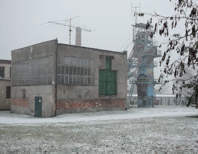 Miniatura: Trzebinia do ewakuacji? Słowa eksperta...