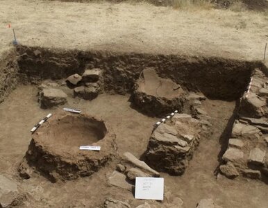 Miniatura: Archeolodzy blisko przełomu. Starożytne...