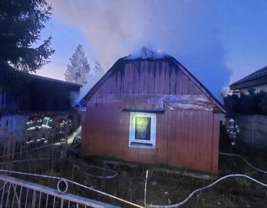 Miniatura: Pożar strawił drewniany dom. Tragiczny...