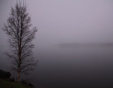 Miniatura: Mgła zasnuje Polskę. Widoczność spadnie do...