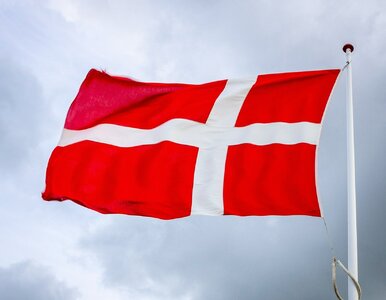 Miniatura: Dania robi ruch – szach i mat dla USA....