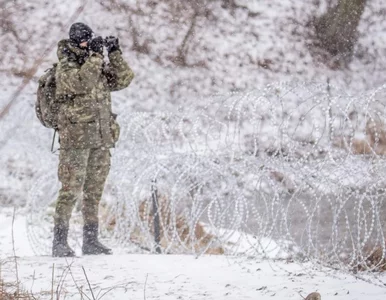 Miniatura: Niebezpieczny incydent na granicy. Straż...