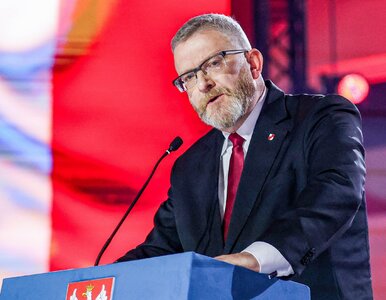 Miniatura: Partia Brauna chce stworzyć „rejestr...