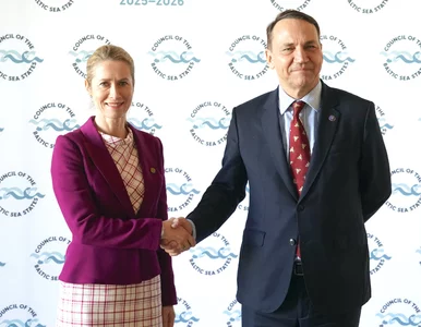 Miniatura: Będą mogli wrócić z ZEA do Polski. Wybrano...