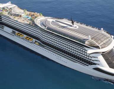 Miniatura: Niemcy chcą zadziwić świat. Statek Vision...