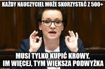 Memy po zapowiedziach o programie "500 plus dla krów" 