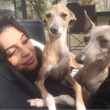 1. Normie i Bambi – psy  Kylie Jenner Jeżeli obserwujecie Kylie Jenner w mediach społecznościowych, pewnie nie raz widzieliście, jak w tle jej nagrań biegają Norman i Bambi. Charciki włoskie to tylko dwa z siedmiu psów, jakie posiada Kylie. Instagramowy profil psów celebrytki i bizneswoman nazwany "normieandbambijenner" obserwuje 434 tysiące osób.