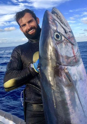 Tuńczyk Błękitnopłetwy 