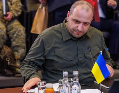 Miniatura: Śledztwo ws. masakry ukraińskich żołnierzy...