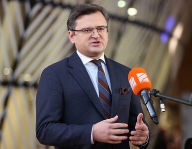 Miniatura: Ukraiński minister krytykuje wielki...