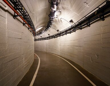 Miniatura: W tej aplikacji sprawdzisz dostępne...