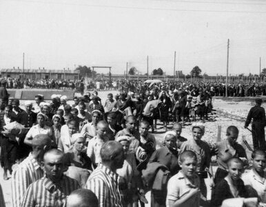 Miniatura: Głód w Auschwitz. Zbrodnicza fascynacja...