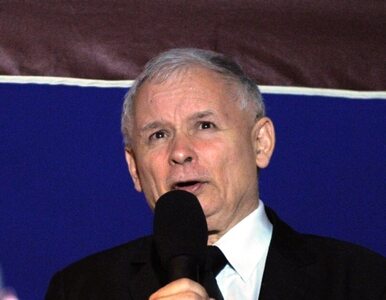 Miniatura: Staniszkis: Kaczyński abdykował w sprawie...
