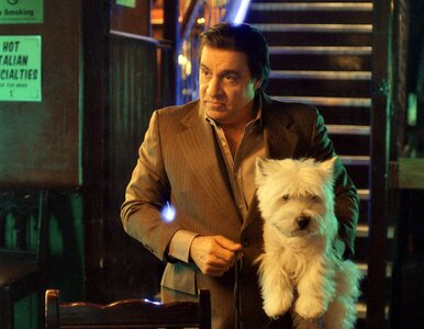 Miniatura: To najlepszy szwedzki serial na Netflix....