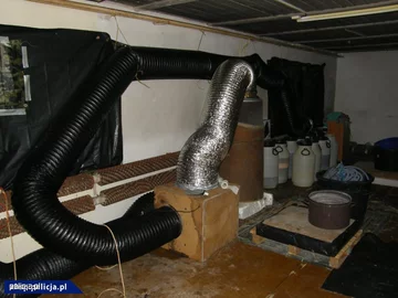 Rozbity międzynarodowy gang narkotykowy 