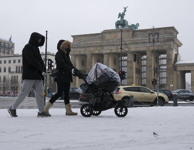 Miniatura: Niepokojący obraz niemieckiej gospodarki....