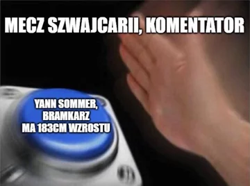Mem po meczu Szwajcarii z Francją 