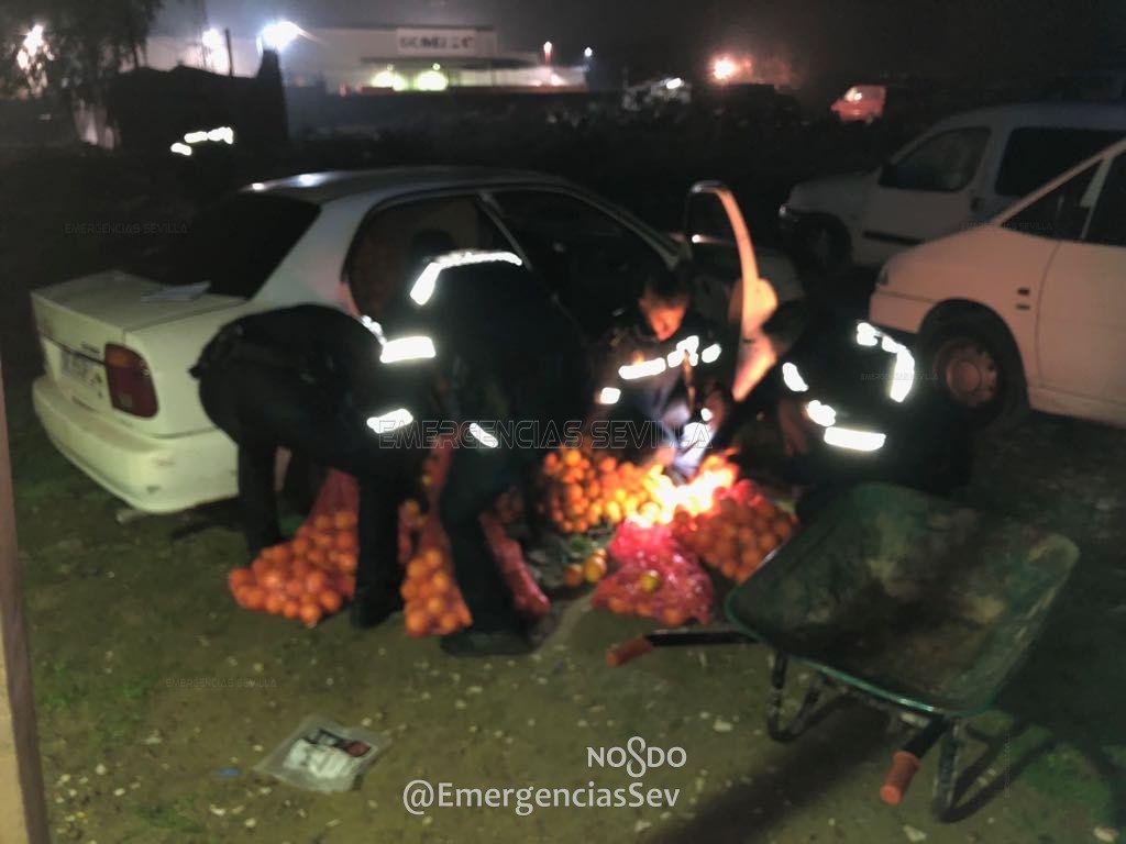 Skradzione pomarańcze wypakowywane przez policjantów 