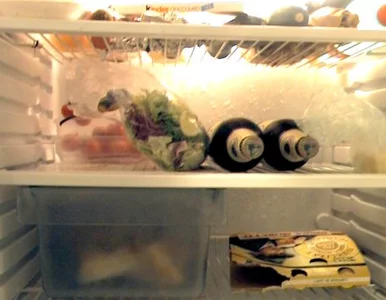 Miniatura: Spytaj lodówkę, czego jej brak...