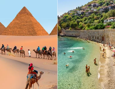 Miniatura: Czy ulubione kierunki Polaków są...