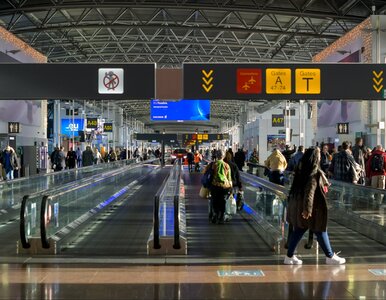 Miniatura: Połowa samolotów nie odleci. Tutaj...