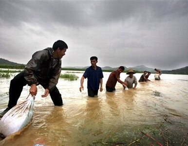Miniatura: Tragiczne skutki powodzi w Chinach i Korei...
