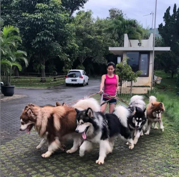 Właścicielka ze swoimi psami 