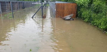 Schronisko dla zwierząt „Czekadełko” 
