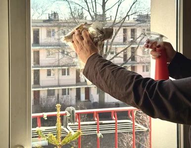 Miniatura: Ten trik na mycie okien znają tylko...