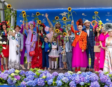 Miniatura: Damosfera Hat Show – wybierz...