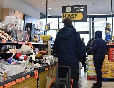 Miniatura: Biedronka sprzedaje hit za 2,99 zł. To...