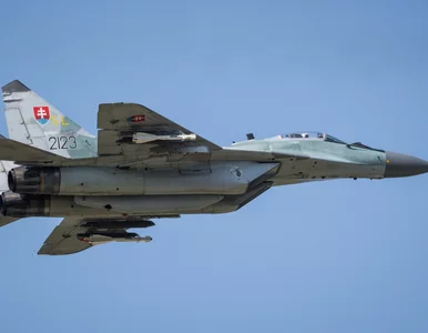 Miniatura: Słowacja przekazuje ciężki sprzęt...