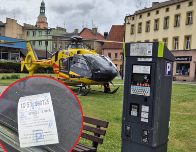 Miniatura: Pilot helikoptera ratunkowego bohaterem...