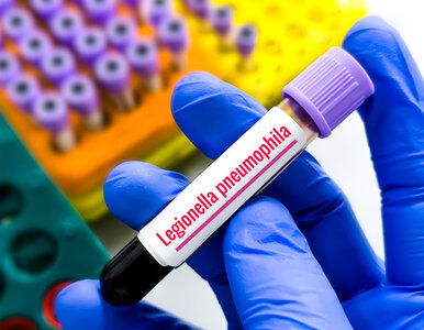 Miniatura: Otarł się o śmierć podczas wakacji....