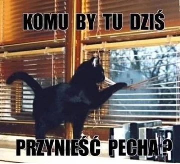 Memy z okazji piątku 13-stego 