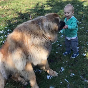 Lamont i jego przyjaciele 