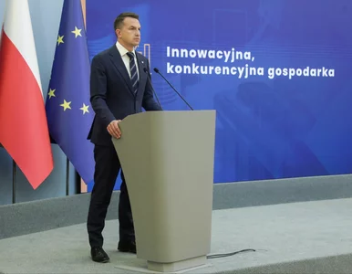 Miniatura: To miał być jeden ze „100 konkretów”....