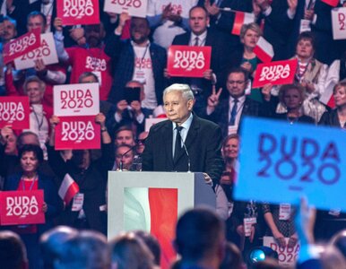 Miniatura: Kaczyński i Kidawa-Błońska są rodziną?...