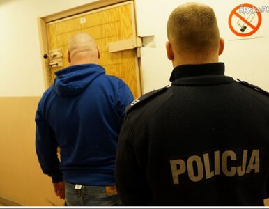 Miniatura: Śląsk: Policja zatrzymała pijanego...