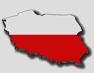 Miniatura: Marka "Polska" warta 602 mld dolarów