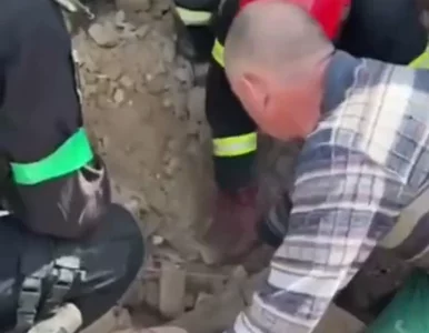 Miniatura: Szczeniak uratowany z gruzów po rosyjskim...