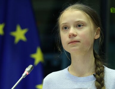 Miniatura: Greta Thunberg wróciła do szkoły. „Moja...