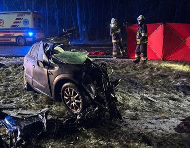 Miniatura: Tragiczny wypadek w Kujawsko-Pomorskim....