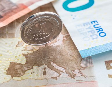 Miniatura: Lata mijają, euro nie ma. Co na to Polacy?...