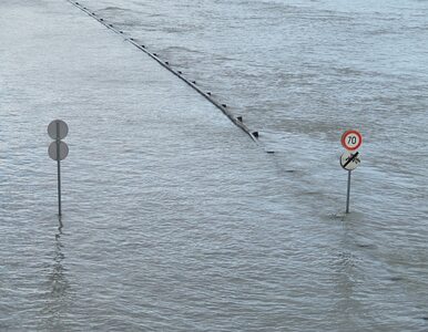 Miniatura: Ulewa nad Warszawą, ulice zalane